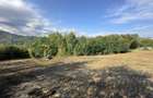 Teren intravilan de vanzare 960 mp Cisnadioara, Sibiu - 3