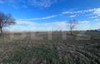 Teren 7500 mp intravilan, industrial/comercial, stradal in Cosoveni - 2