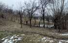 Teren 4652 mp cu izvor pe el, Lunca Mare, lângă păstrăvăria Doftana - 8