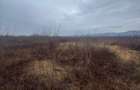 Teren extravilan Bușag 82 ari, plan drept, lângă Lăpuș, acces drum - 4