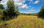 Șinca Nouă – 8.439 mp pentru agricultură, apicultură și investiție in viitor - 6