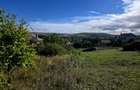 Teren 1,000mp  Strada Pietrelor /Fermelor