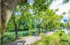 Teren generos și casă deosebită lângă Parcul Central┃ - 15