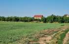 Teren intravilan 2.000 mp, două loturi construibile – Darvari, Ciorogârla - 9