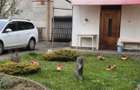 VAND CASA D+P+E TEREN 1000 MP SUB ARINI - 8