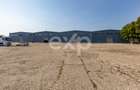 DE ÎNCHIRIAT | Ansamblu industrial 2 hale 4.400 mp | Calea Moinești - 7