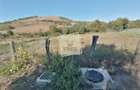 Teren intravilan 3500 mp zona Hamba - 8
