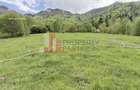 Teren intravilan 5.261 mp Tohănița | Deschidere 49 m | Utilități, lângă pădure - 8