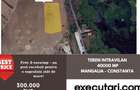 Teren intravilan 40000 mp, Mangalia - Constanta - 1