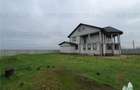 VILA IMPERIALA DE EXCEPTIE PREMIUM CU 20.000 MP TEREN - 2