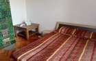 Vanzare Casa in localitatea Bodrogu Nou - 10