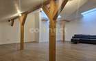Spatiu preabil birouri 60 mp str. Decebal - 5
