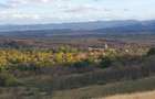 Casă tradițională cu anexe și teren generos – Satul Revetiș, județul Arad - 7