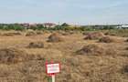Proprietar vand teren Mogosoaia deschidere la lac         150 EURO/mp negociabil