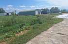 Vand teren 1.5 ha intravilan industrial Halchiu - 8