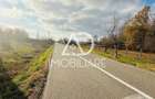 Teren intravilan 1160 mp – Ideal pentru investiție sau locuință - 3