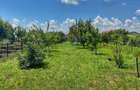 Casă batraneasca cu 3 camere-Oportunitate de Investiție in Domnesti - 11
