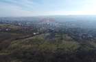Teren 20.146 mp Dâmbu Rotund (Lomb).Extravilan.Potențial rezidențial - 7