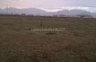 Teren Sanpetru 6300 mp Ocolitoare, posibilitate rate - 1