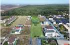 Teren - Voluntari - vis a vis de Padure - 10.000 mp - 3