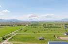 Teren 1300 mp | Sanpetru | zona Livada - 4