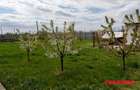 Pensiune + 4,7 Ha teren E85 Roman - Neamț - Afacere la cheie - 10