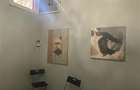 Piata Muncii, vila  moderna, 380 mp,  11 camere - 10