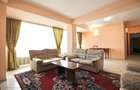 DOROBANTI-TUDOR STEFAN, APARTAMENT ELEGANT, SINGUR PE NIVEL, 123MP, LIVING 42MP! - 2