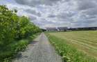 Branesti - Pasarea, dubla deschidere, poseda urbanism - 6