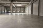 Spatiu Industrial - 4600 mp - Productie - Depozitare - Distributie - 6