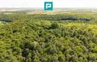 TEREN AGRICOL EXTRAVILAN  22.900 MP LIPOVA - 13