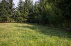 Comision0% Investitie turistica unica - Bran Sohodol 10131mp-Via Transilvanica - 13