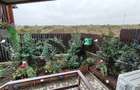 Apartament 2 camere, DECOMANDAT, GRADINA, FOISOR, LOC PARCARE - Lunca Cetatuii - 6