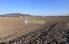 Teren intravilan de vanzare in Sard suprafete 600-800 mp - 2