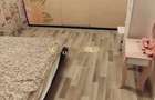 Titan | 2 Camere | Petfriendly | Proximitate metrou | Mobilat - utilat - 5
