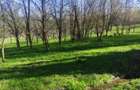 Teren intravilan com.Drajna, sat Cătunu, 12 km de Vălenii de Munte, jud. Prahova - 3