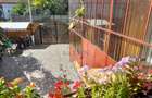 Casa renovata 5 camere de vanzare in locaitatea Mandra jud. Brasov - 4
