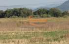 Codlea teren constructii industriale sau logistice 8 ha pana la 24 Ha - 15