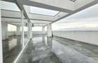 Penthouses de inchiriat, 200 mp. utili + 60mp. terasa - Mihai Viteazu - 14