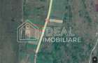 Teren extravilan de vânzare | Cârțișoara | 1800 mp - 7