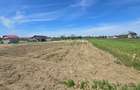 Teren 500 mp Dărăști Ilfov | Lângă pădure și râul Argeș | Deschidere 27 ml - 6
