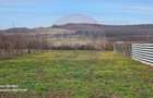 De vânzare teren intravilan 1,186mp Ineu -Strada Principală - 7