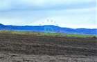 Teren Agricol, Cristian - 9