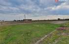 Teren intravilan cu suprafata de 58.340 mp, in Sanmartinul Sarbesc - 25