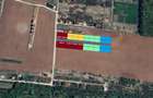 The Forest Collection -500mp-Zona exclusivista | Padurea Snagov -Ciofliceni - 5