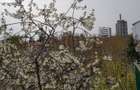 Apartament luminos 2 CAMERE | Jean Monnet - Primăverii - 12