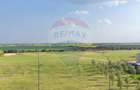 Teren cu construcție de beton, de vânzare, 3754 mp – zona Aradul Nou - 20