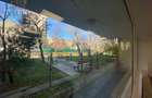 SPATIU STRADAL 567 MP - VAD COMERCIAL - PACHE PROTOPOPESCU - 13