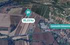Teren extravilan 95.23 ha lângă Caransebeș - 2
