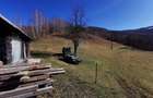 De vânzare teren intravilan 10,100 mp, cu anexă, Munteni - 10